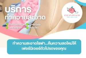 ทำความสะอาดและกำจัดไรฝุ่นเฟอร์นิเจอร์ในคอนโด