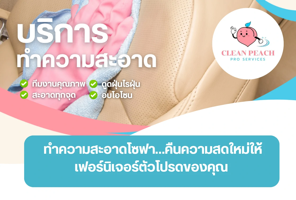 ทำความสะอาดโซฟา