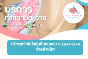 บริการกำจัดไรฝุ่นที่นอน ของ Clean Peach