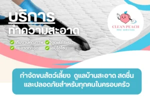 กำจัดขนสัตว์เลี้ยง – ดูแลบ้านสะอาด สดชื่น