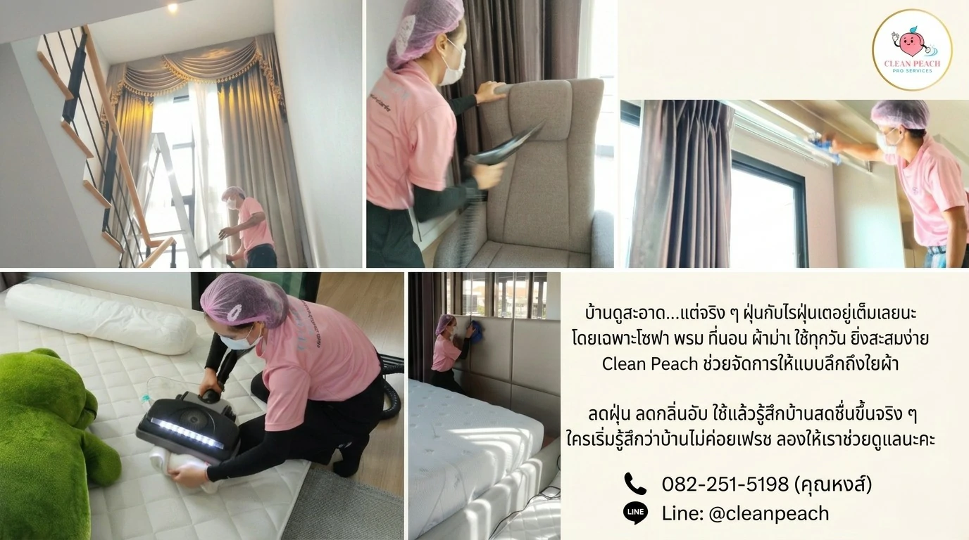 Dust Mite Removal Service  Deep Cleaning Down to Fabric Fibers