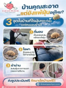 บ้านดูสะอาด…แต่คุณแน่ใจไหมว่า “ปลอดไรฝุ่นจริง”