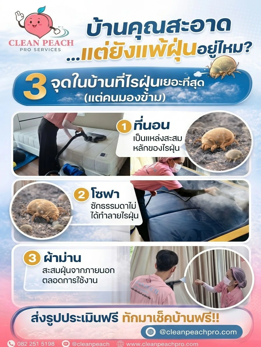 บ้านดูสะอาด…แต่คุณแน่ใจไหมว่า “ปลอดไรฝุ่นจริง”